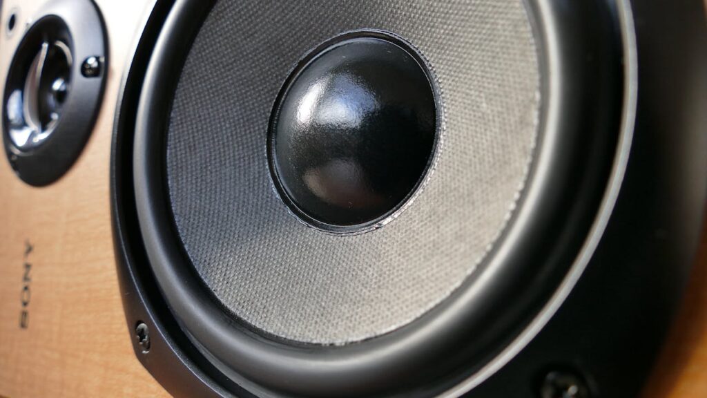 Professional speaker used in a business audio system